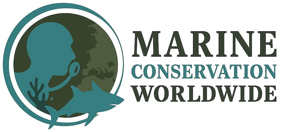 Logo-transparant